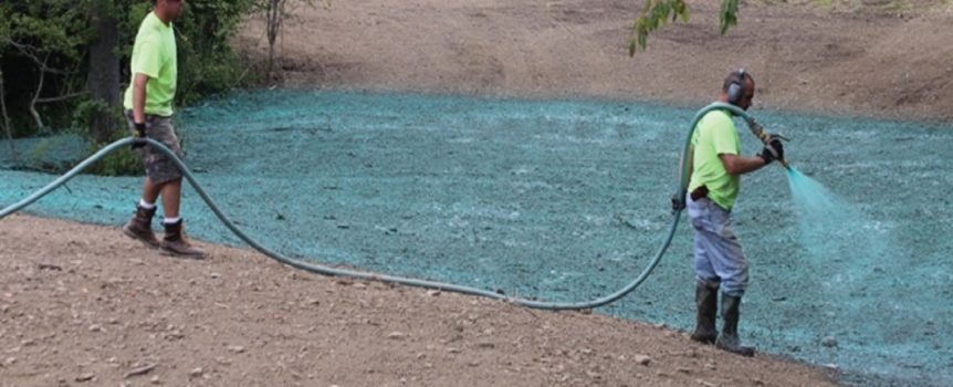 Hydroseeding 101 from Sunshine Landscaping Co Landscaping